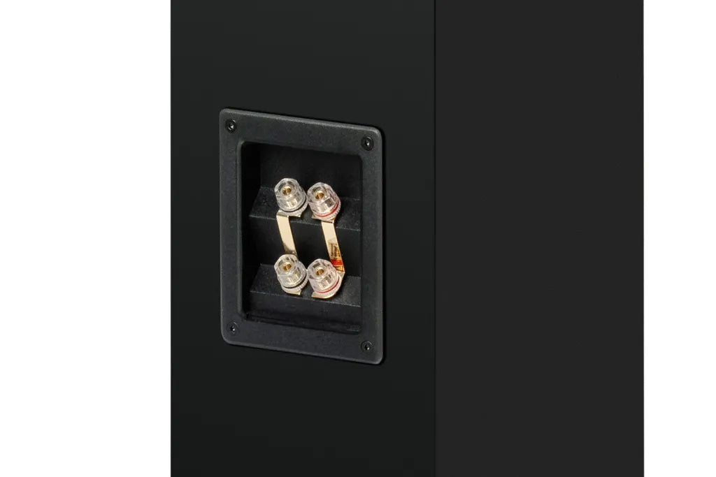Pro-Ject Speaker Box 12 E Carbon