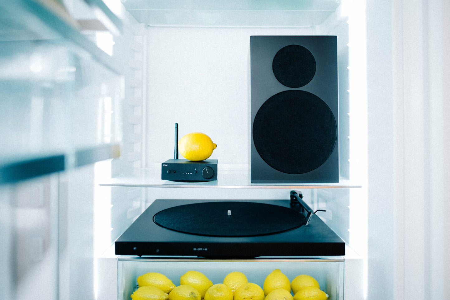 Tone Factory Phono Set L