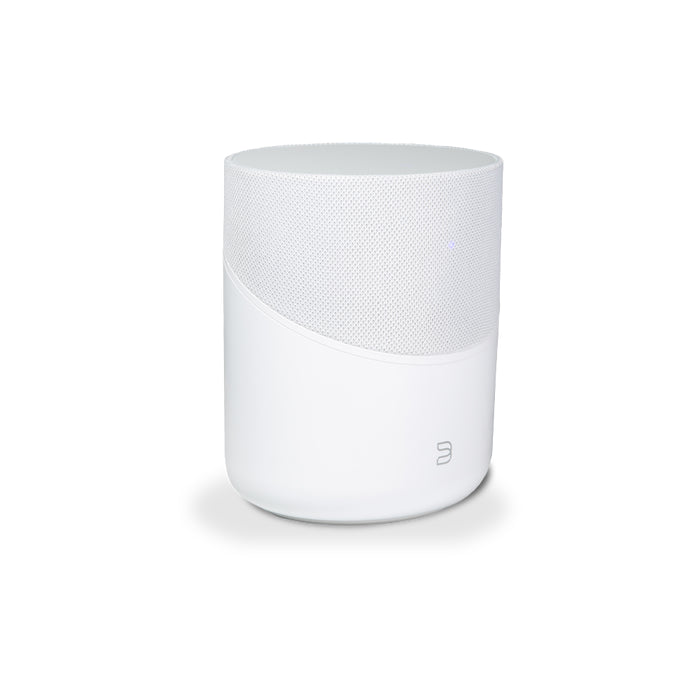 Bluesound Pulse M