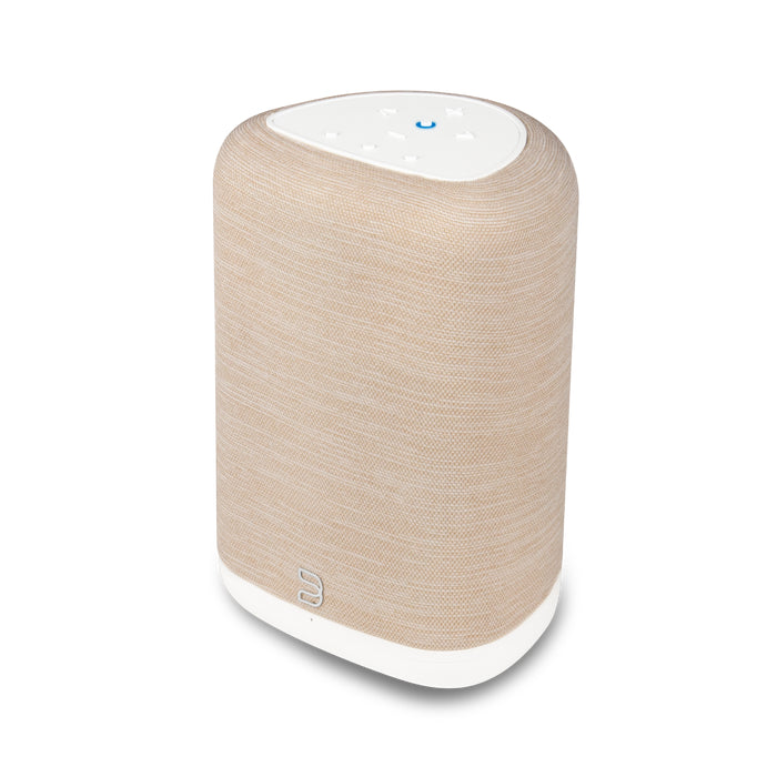 Bluesound Pulse Flex