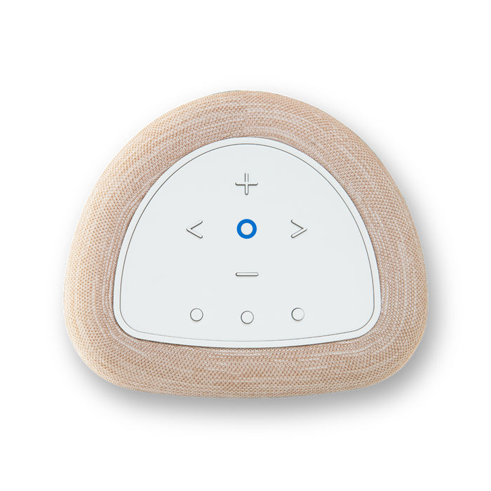 Bluesound Pulse Flex